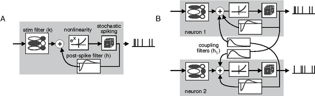 Figure 1 for Notes on Generalized Linear Models of Neurons
