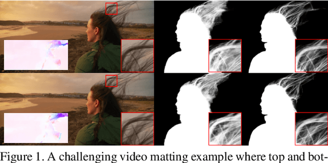 Figure 1 for Deep Video Matting via Spatio-Temporal Alignment and Aggregation