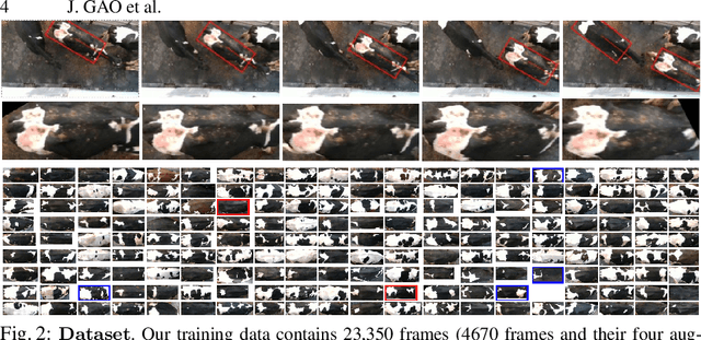 Figure 2 for Label a Herd in Minutes: Individual Holstein-Friesian Cattle Identification