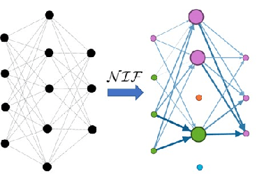 Figure 1 for NIF: A Framework for Quantifying Neural Information Flow in Deep Networks