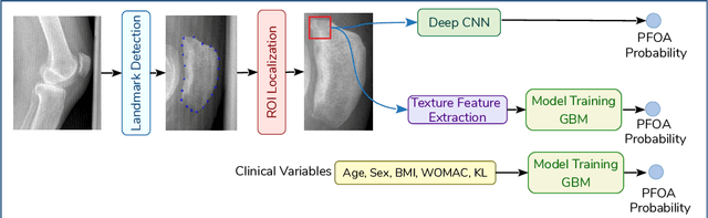 Figure 3 for Machine Learning Based Texture Analysis of Patella from X-Rays for Detecting Patellofemoral Osteoarthritis