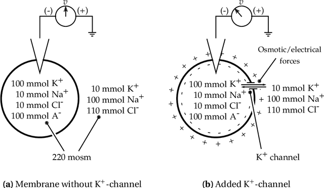 Figure 3 for Point Neurons with Conductance-Based Synapses in the Neural Engineering Framework