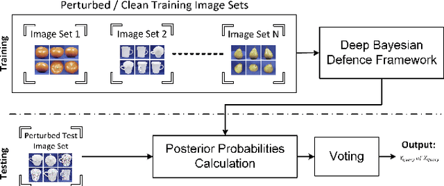 Figure 1 for Deep Bayesian Image Set Classification: A Defence Approach against Adversarial Attacks