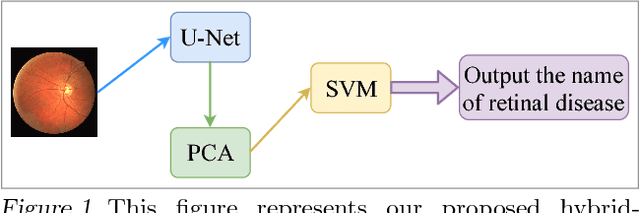 Figure 1 for A Novel Hybrid Machine Learning Model for Auto-Classification of Retinal Diseases