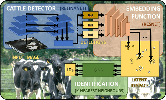 Figure 1 for Visual Identification of Individual Holstein Friesian Cattle via Deep Metric Learning
