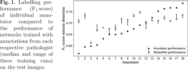 Figure 1 for How Many Annotators Do We Need? -- A Study on the Influence of Inter-Observer Variability on the Reliability of Automatic Mitotic Figure Assessment