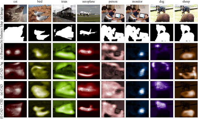 Figure 4 for Saliency Guided Inter- and Intra-Class Relation Constraints for Weakly Supervised Semantic Segmentation