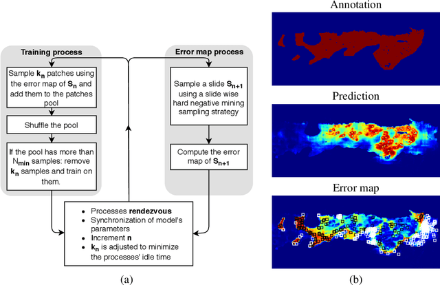 Figure 3 for Segmenting Potentially Cancerous Areas in Prostate Biopsies using Semi-Automatically Annotated Data