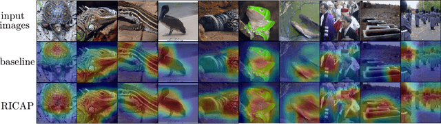 Figure 4 for Data Augmentation using Random Image Cropping and Patching for Deep CNNs