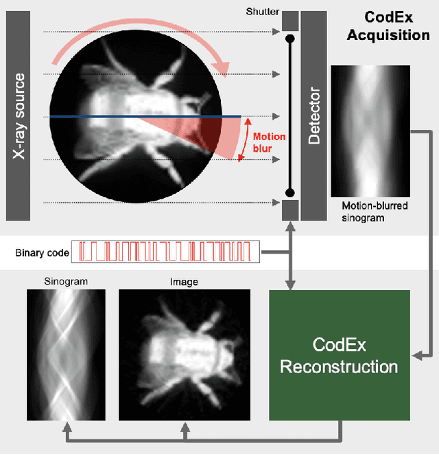 Figure 1 for CodEx: A Modular Framework for Joint Temporal De-blurring and Tomographic Reconstruction