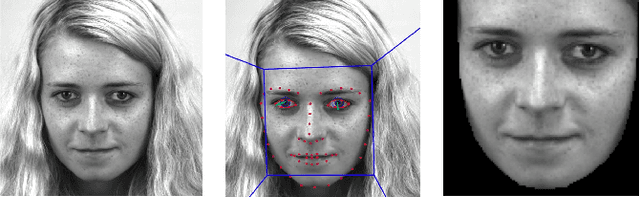 Figure 2 for SAMM Long Videos: A Spontaneous Facial Micro- and Macro-Expressions Dataset