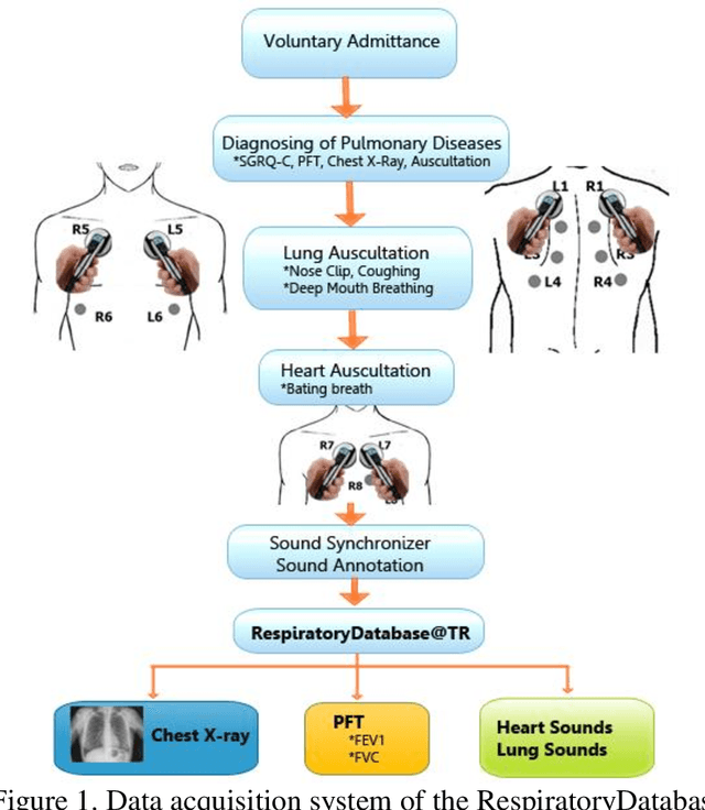 Figure 1 for Multimedia Respiratory Database (RespiratoryDatabase@TR): Auscultation Sounds and Chest X-rays