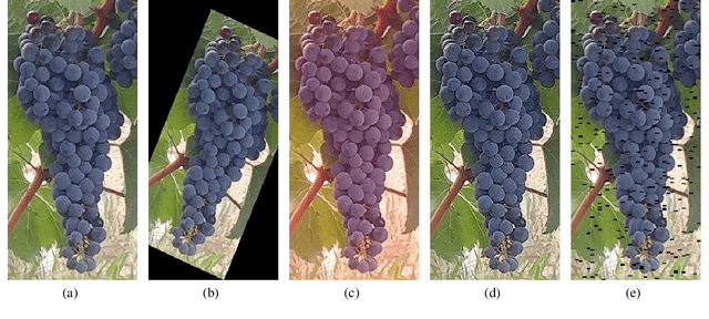 Figure 3 for Swin-transformer-yolov5 For Real-time Wine Grape Bunch Detection