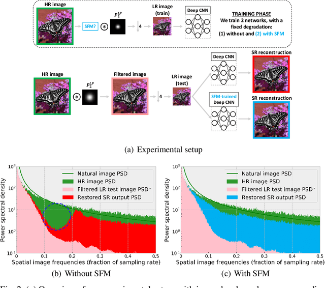 Figure 3 for Stochastic Frequency Masking to Improve Super-Resolution and Denoising Networks