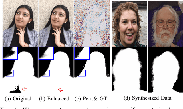 Figure 1 for Self-supervised Matting-specific Portrait Enhancement and Generation