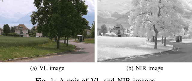 Figure 1 for Convolutional Simultaneous Sparse Approximation with Applications to RGB-NIR Image Fusion