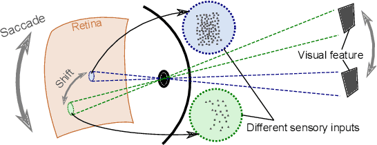 Figure 1 for Grounding the Experience of a Visual Field through Sensorimotor Contingencies