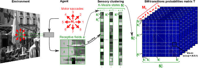 Figure 2 for Grounding the Experience of a Visual Field through Sensorimotor Contingencies