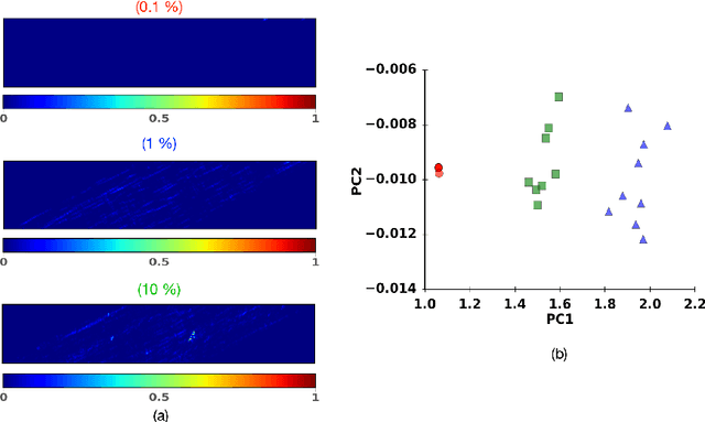 Figure 4 for Learning crystal plasticity using digital image correlation: Examples from discrete dislocation dynamics