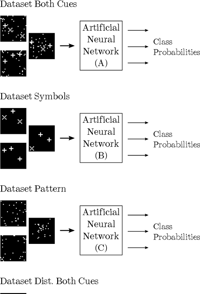 Figure 1 for Feature selection of neural networks is skewed towards the less abstract cue