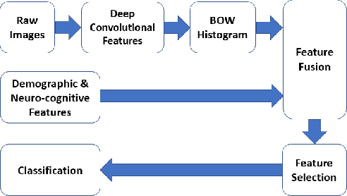 Figure 1 for A Deep Unsupervised Learning Approach Toward MTBI Identification Using Diffusion MRI