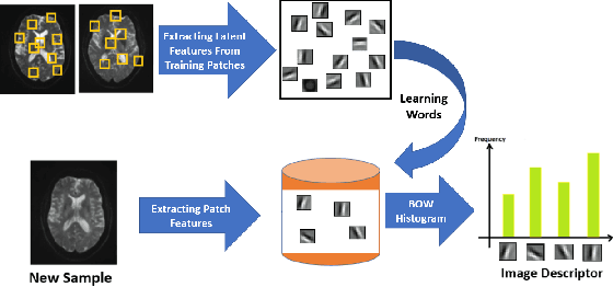 Figure 3 for A Deep Unsupervised Learning Approach Toward MTBI Identification Using Diffusion MRI