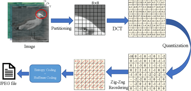 Figure 1 for Optimizing JPEG Quantization for Classification Networks