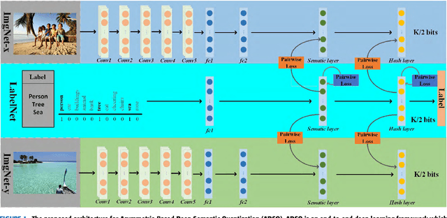 Figure 1 for Asymmetric Deep Semantic Quantization for Image Retrieval