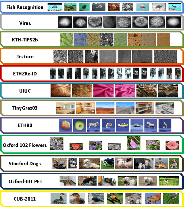 Figure 3 for Kernel Methods on Approximate Infinite-Dimensional Covariance Operators for Image Classification