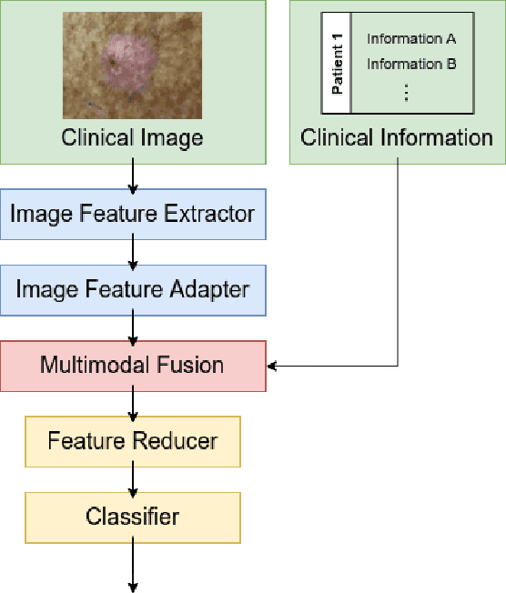 Figure 2 for Exploring Advances in Transformers and CNN for Skin Lesion Diagnosis on Small Datasets
