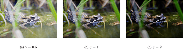 Figure 2 for Certified Robustness via Randomized Smoothing over Multiplicative Parameters
