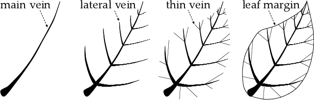 Figure 1 for Text Growing on Leaf