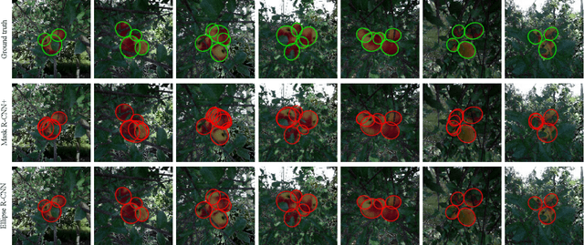 Figure 2 for Ellipse R-CNN: Learning to Infer Elliptical Object from Clustering and Occlusion