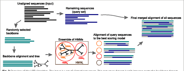 Figure 3 for Ultra-large alignments using Phylogeny-aware Profiles