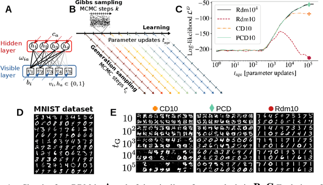 Figure 1 for Equilibrium and non-Equilibrium regimes in the learning of Restricted Boltzmann Machines