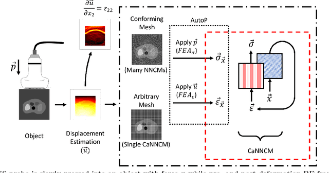 Figure 1 for Cartesian Neural Network Constitutive Models for Data-driven Elasticity Imaging
