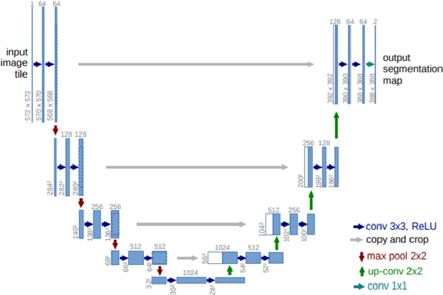 Figure 2 for Deep learning architectures for automated image segmentation