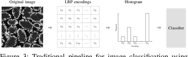 Figure 4 for Deep Local Binary Patterns
