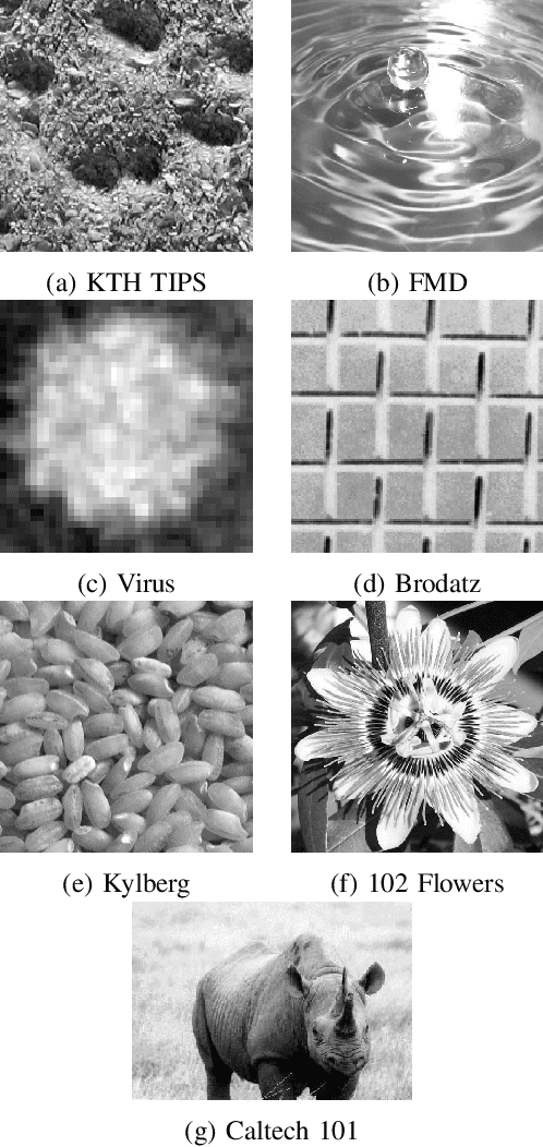 Figure 2 for Deep Local Binary Patterns