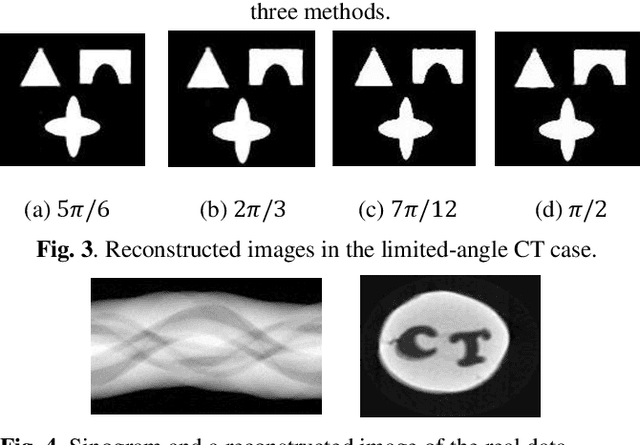 Figure 1 for A reconstruction method for binary limited-data tomography using a dictionary-based sparse shape recovery
