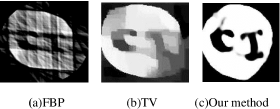 Figure 3 for A reconstruction method for binary limited-data tomography using a dictionary-based sparse shape recovery