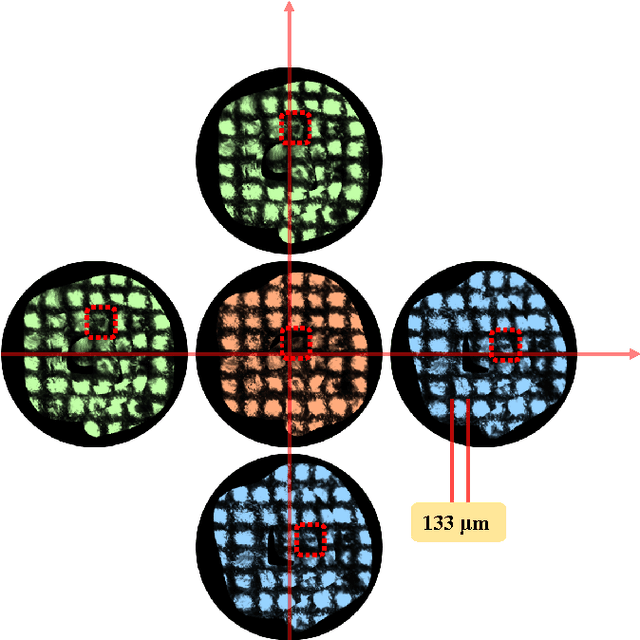 Figure 4 for Autonomous Scanning for Endomicroscopic Mosaicing and 3D Fusion