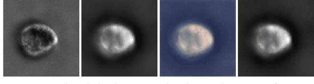 Figure 3 for Image-to-Image Regression with Distribution-Free Uncertainty Quantification and Applications in Imaging
