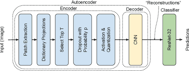 Figure 1 for A Neuro-Inspired Autoencoding Defense Against Adversarial Perturbations