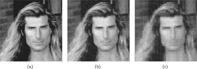 Figure 4 for Stable image reconstruction using total variation minimization