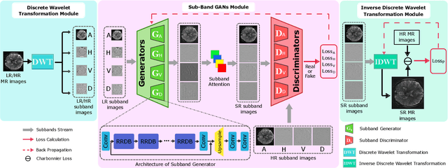 Figure 4 for Fine Perceptive GANs for Brain MR Image Super-Resolution in Wavelet Domain