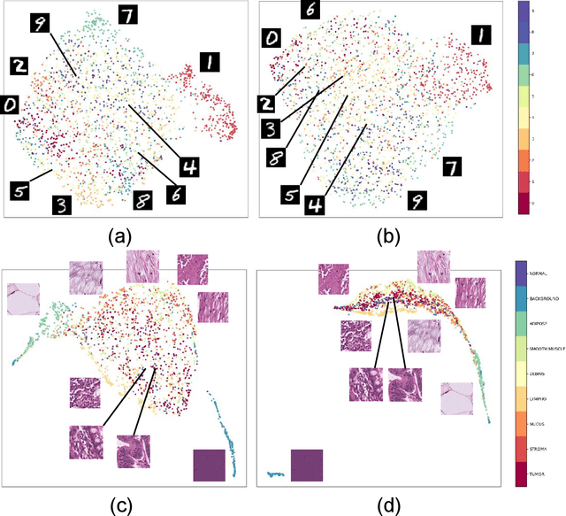 Figure 1 for Batch-Incremental Triplet Sampling for Training Triplet Networks Using Bayesian Updating Theorem