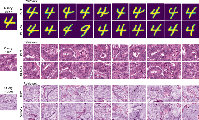 Figure 2 for Batch-Incremental Triplet Sampling for Training Triplet Networks Using Bayesian Updating Theorem