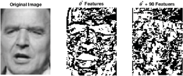 Figure 3 for Facial Recognition with Encoded Local Projections