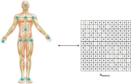 Figure 1 for A New Adjacency Matrix Configuration in GCN-based Models for Skeleton-based Action Recognition